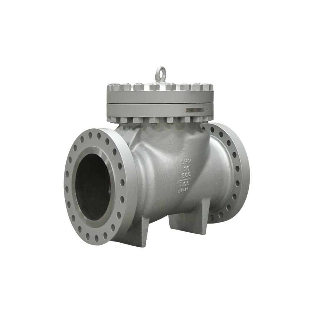 Check Valves